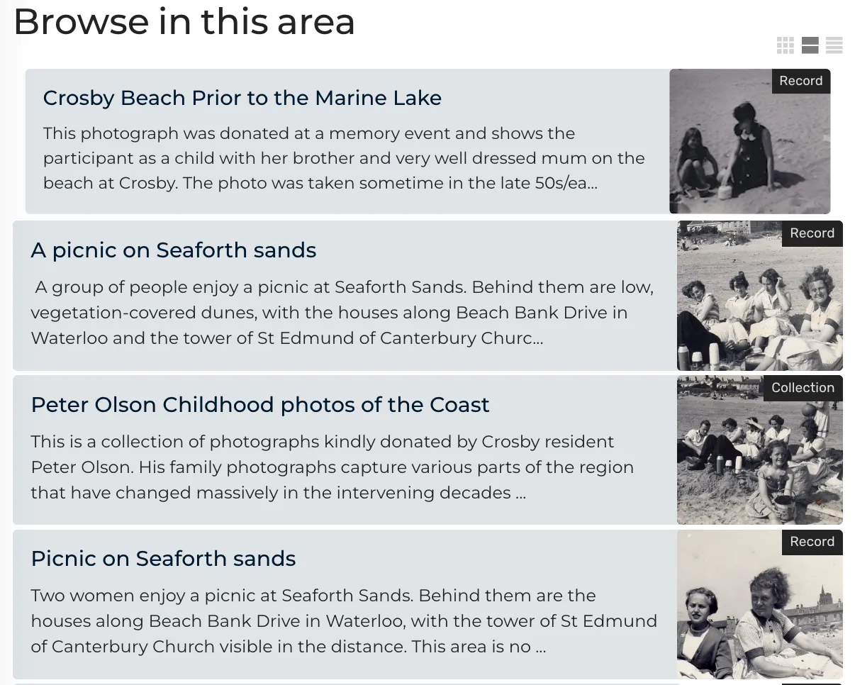 Screenshot of the browse panel